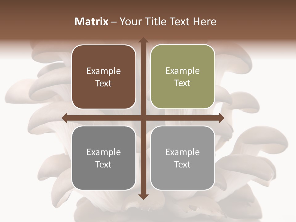 Cuisine Biological Eat PowerPoint Template