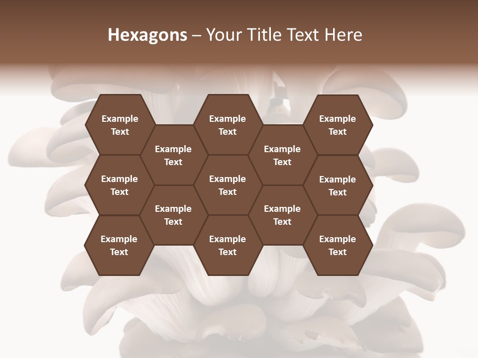 Cuisine Biological Eat PowerPoint Template