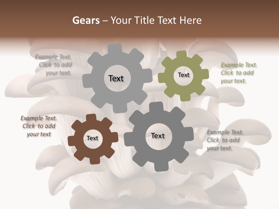 Cuisine Biological Eat PowerPoint Template