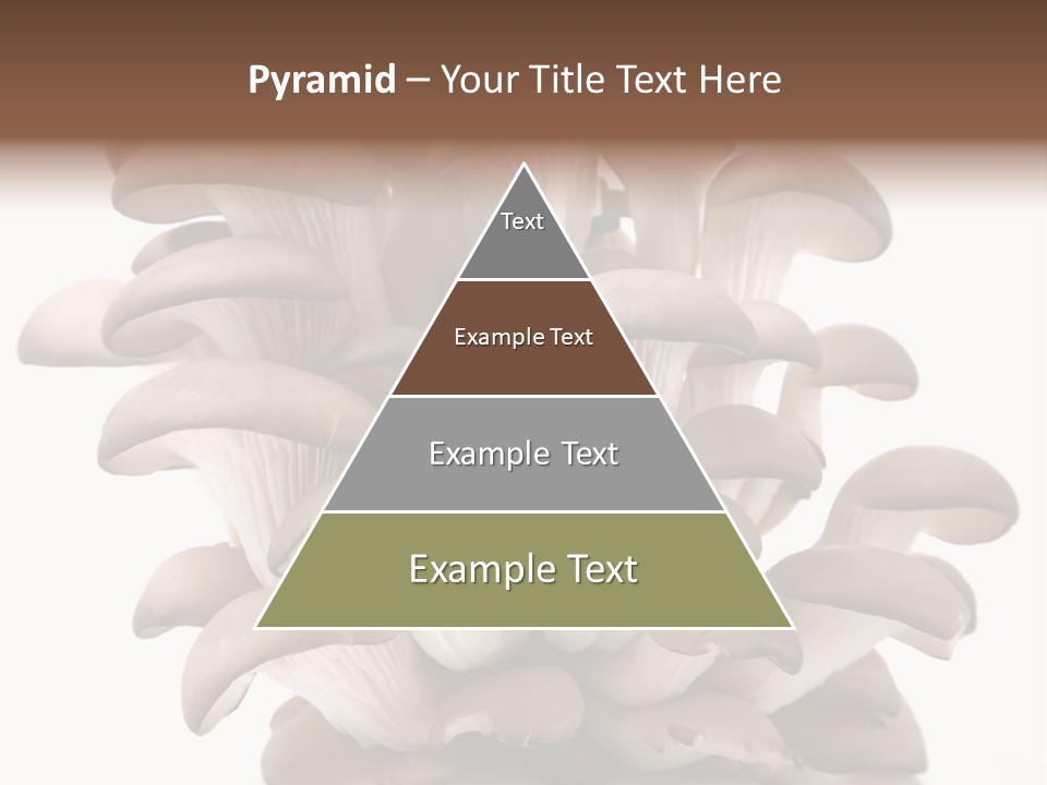 Cuisine Biological Eat PowerPoint Template