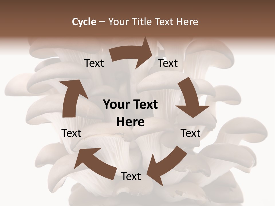 Cuisine Biological Eat PowerPoint Template