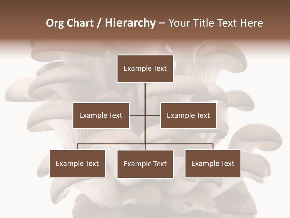 Cuisine Biological Eat PowerPoint Template