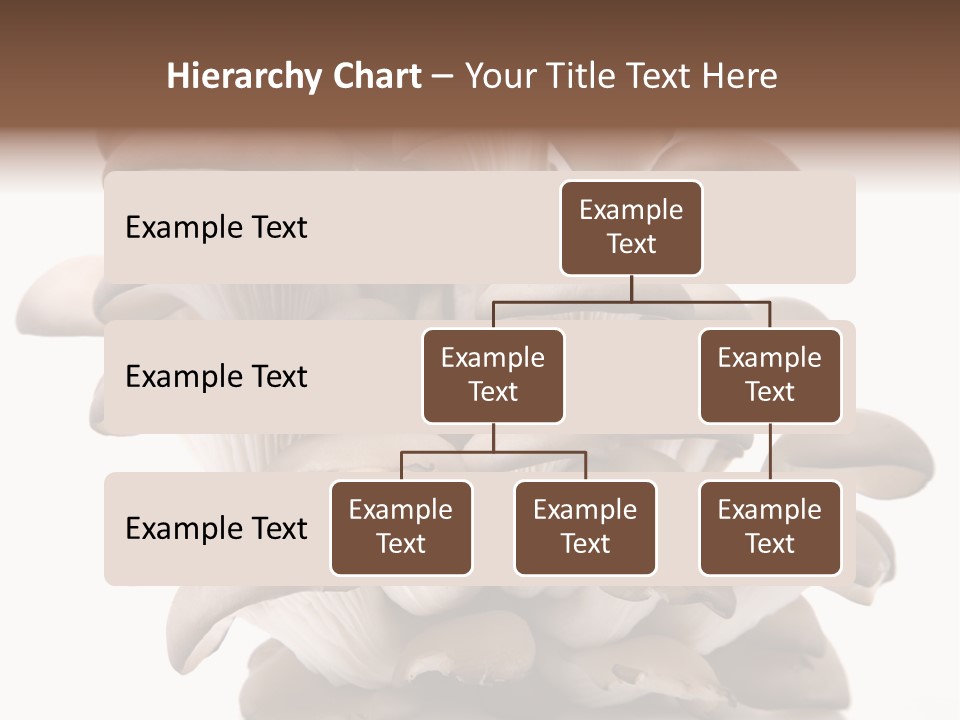 Cuisine Biological Eat PowerPoint Template