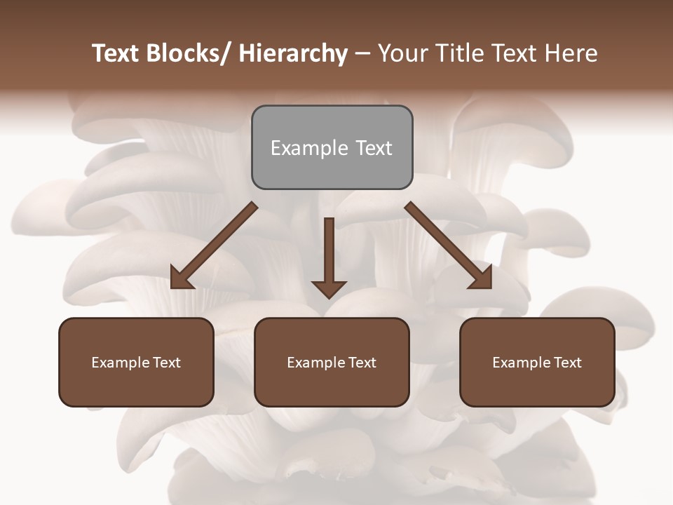 Cuisine Biological Eat PowerPoint Template