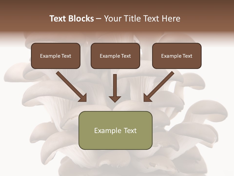 Cuisine Biological Eat PowerPoint Template