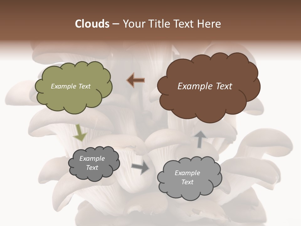 Cuisine Biological Eat PowerPoint Template