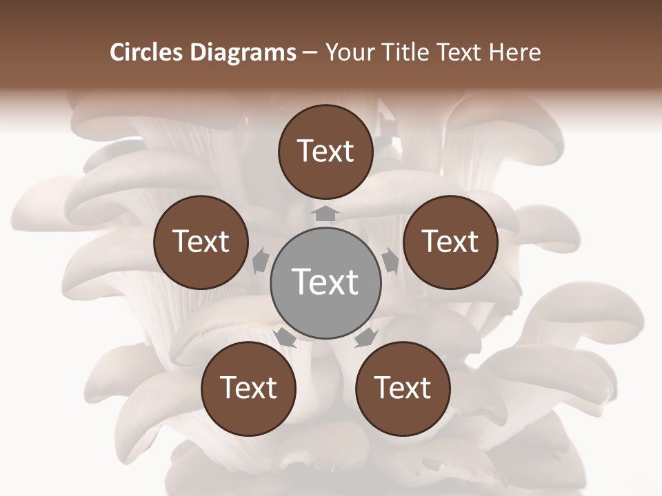 Cuisine Biological Eat PowerPoint Template