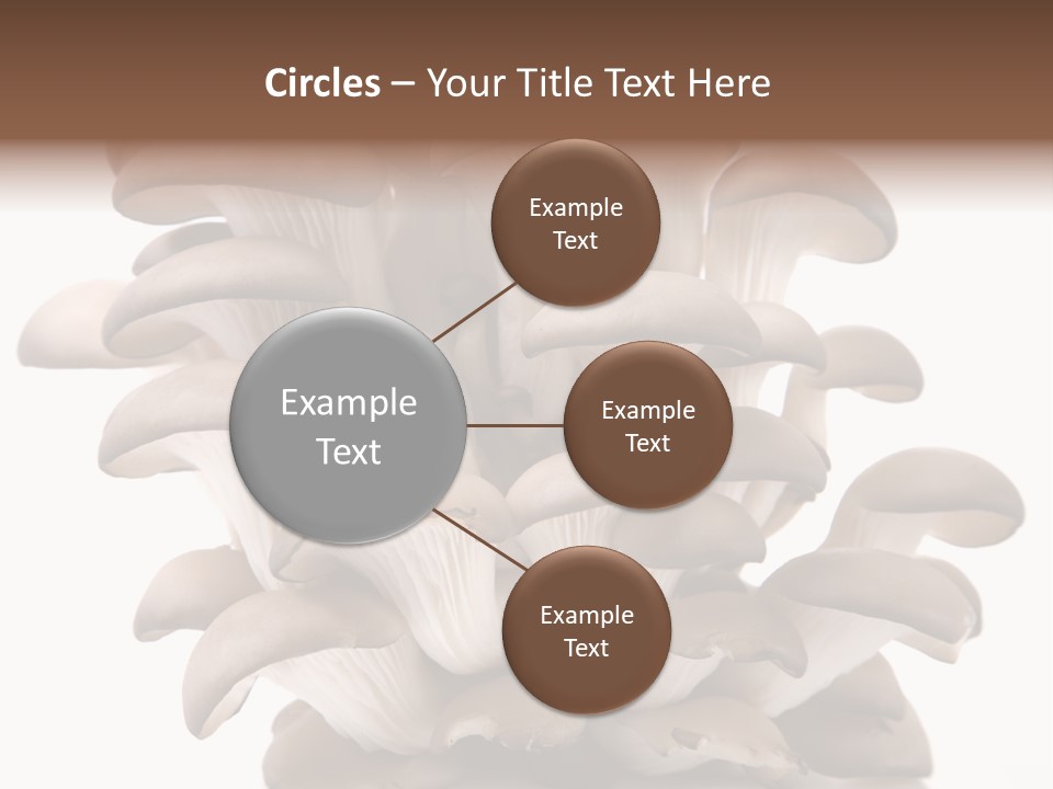 Cuisine Biological Eat PowerPoint Template