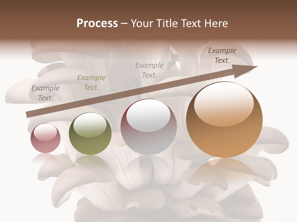 Cuisine Biological Eat PowerPoint Template