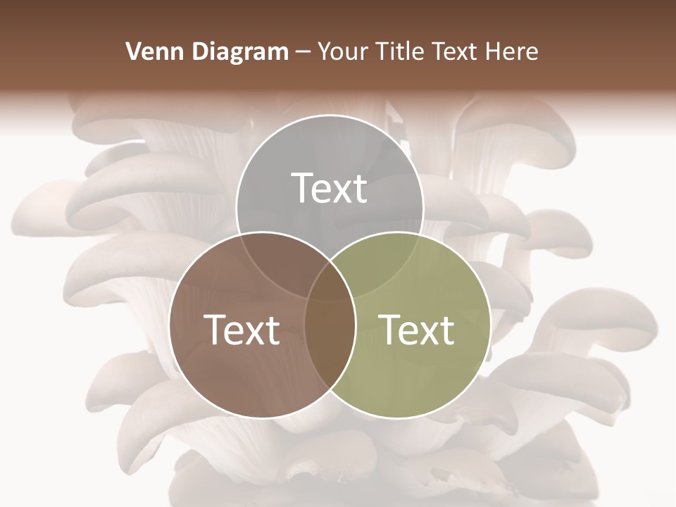 Cuisine Biological Eat PowerPoint Template