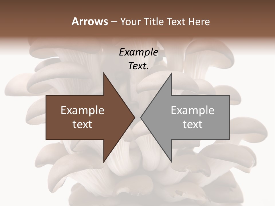 Cuisine Biological Eat PowerPoint Template