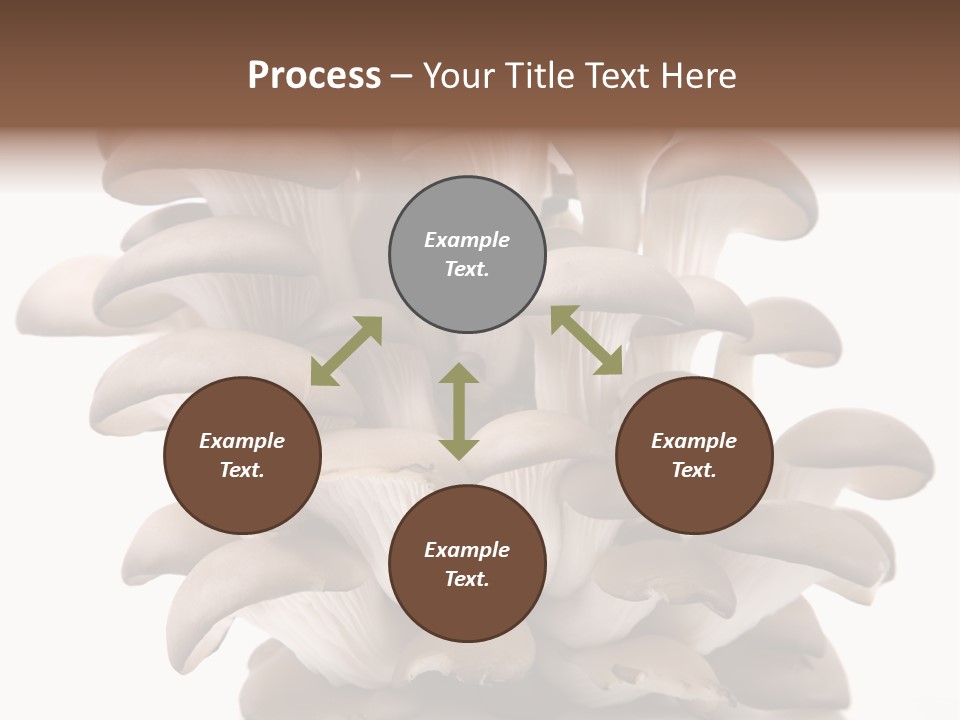 Cuisine Biological Eat PowerPoint Template