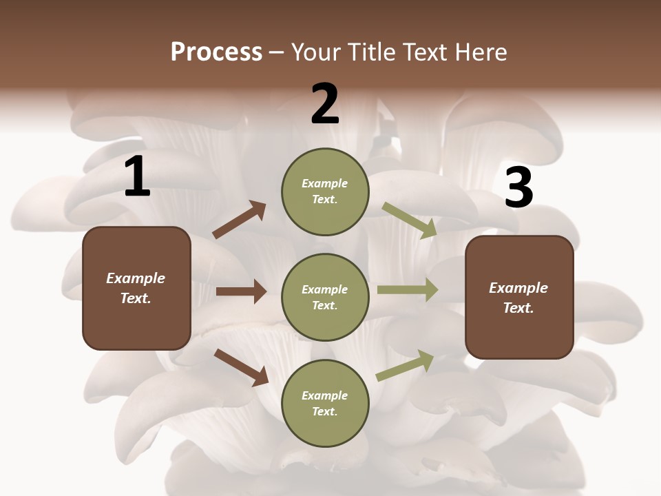 Cuisine Biological Eat PowerPoint Template