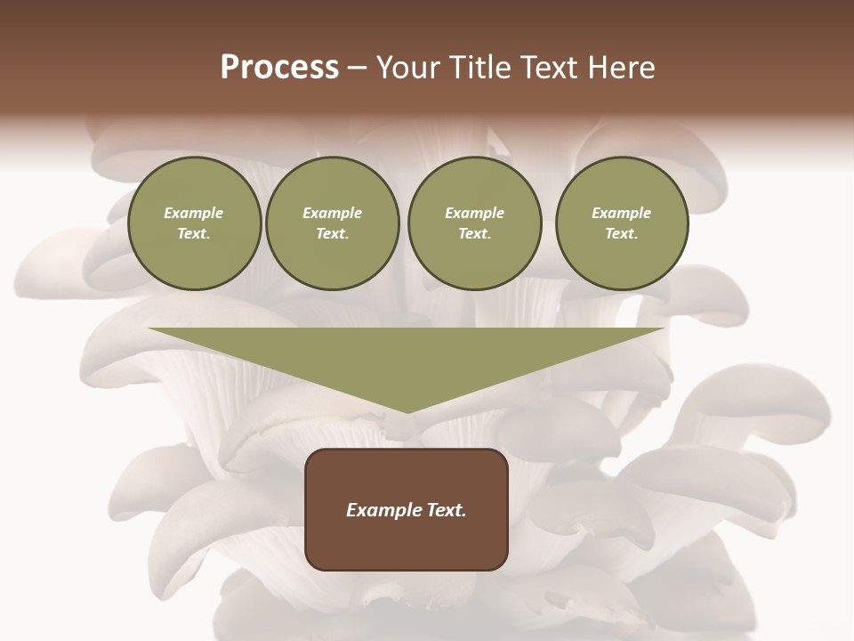 Cuisine Biological Eat PowerPoint Template