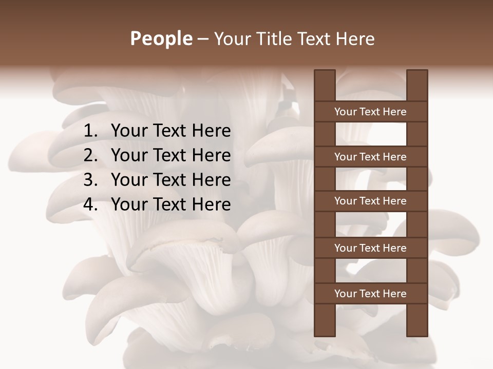 Cuisine Biological Eat PowerPoint Template