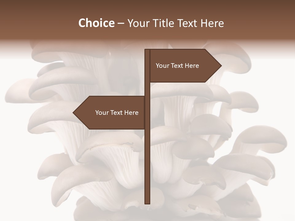 Cuisine Biological Eat PowerPoint Template