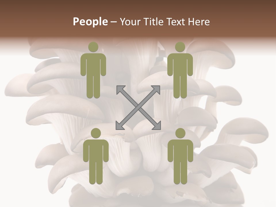 Cuisine Biological Eat PowerPoint Template