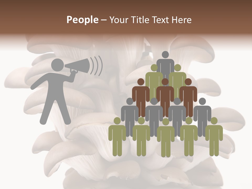 Cuisine Biological Eat PowerPoint Template