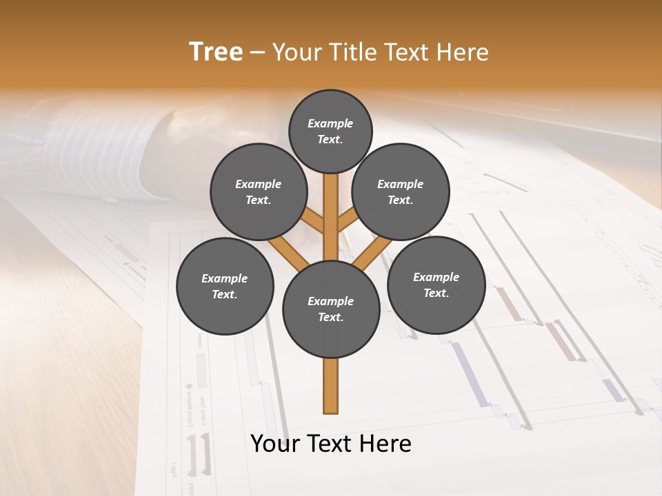 Laptop Scheme Organization PowerPoint Template