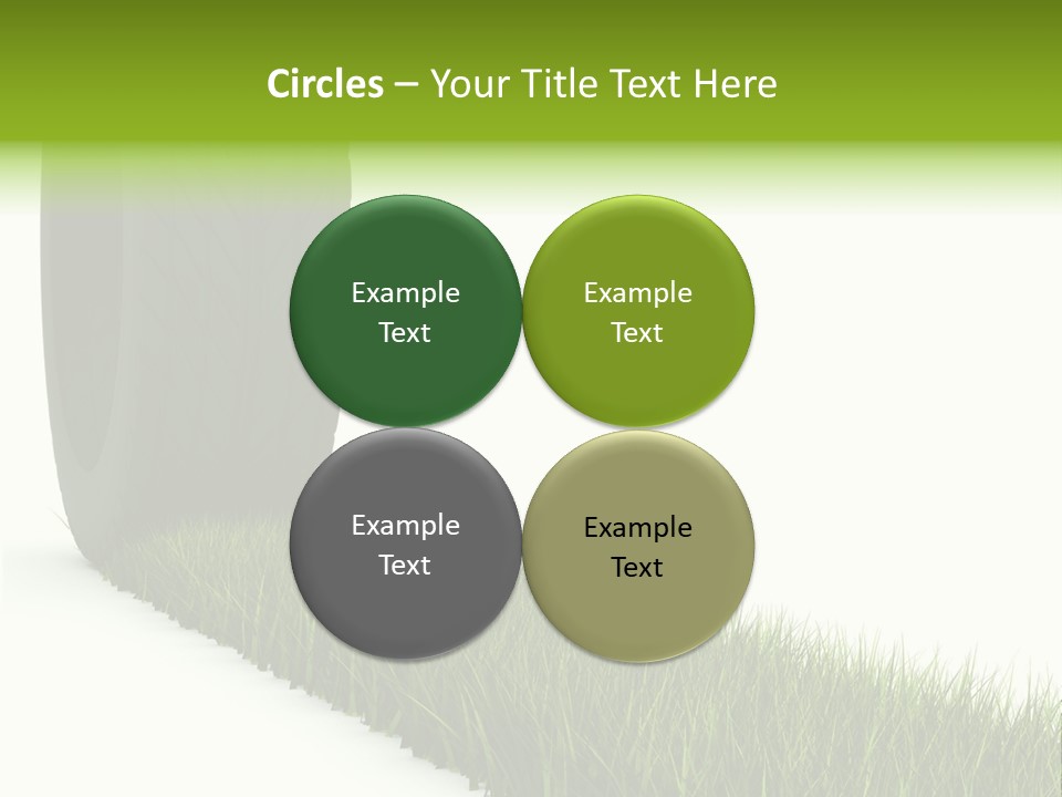 Automobile White Bio PowerPoint Template