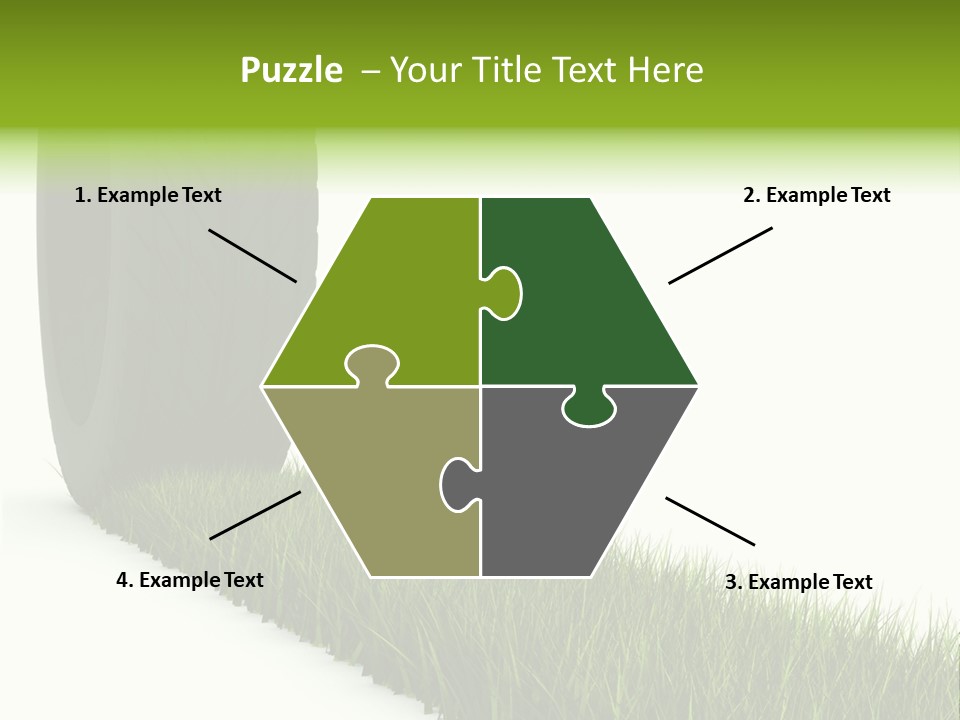 Automobile White Bio PowerPoint Template