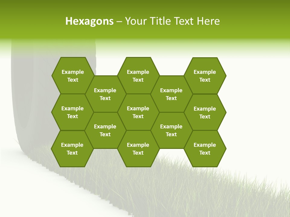 Automobile White Bio PowerPoint Template