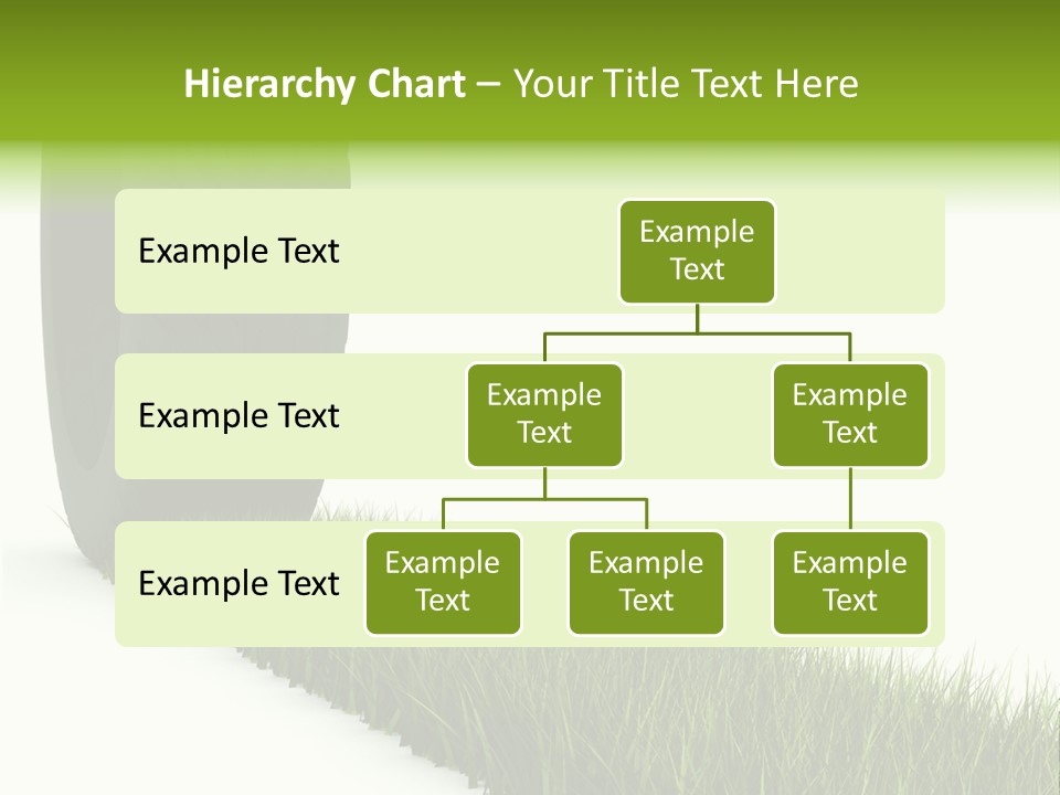 Automobile White Bio PowerPoint Template