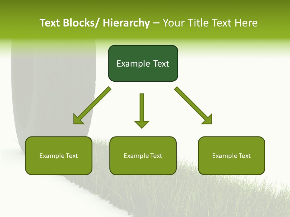 Automobile White Bio PowerPoint Template