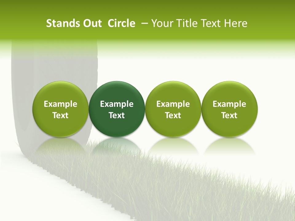 Automobile White Bio PowerPoint Template