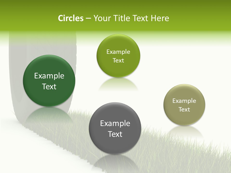 Automobile White Bio PowerPoint Template