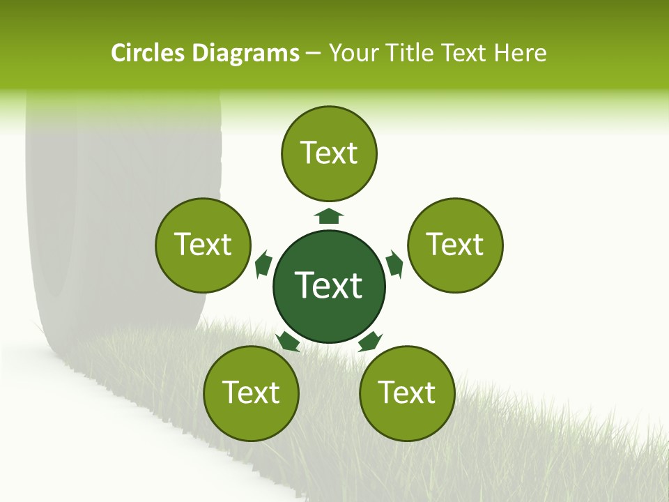 Automobile White Bio PowerPoint Template