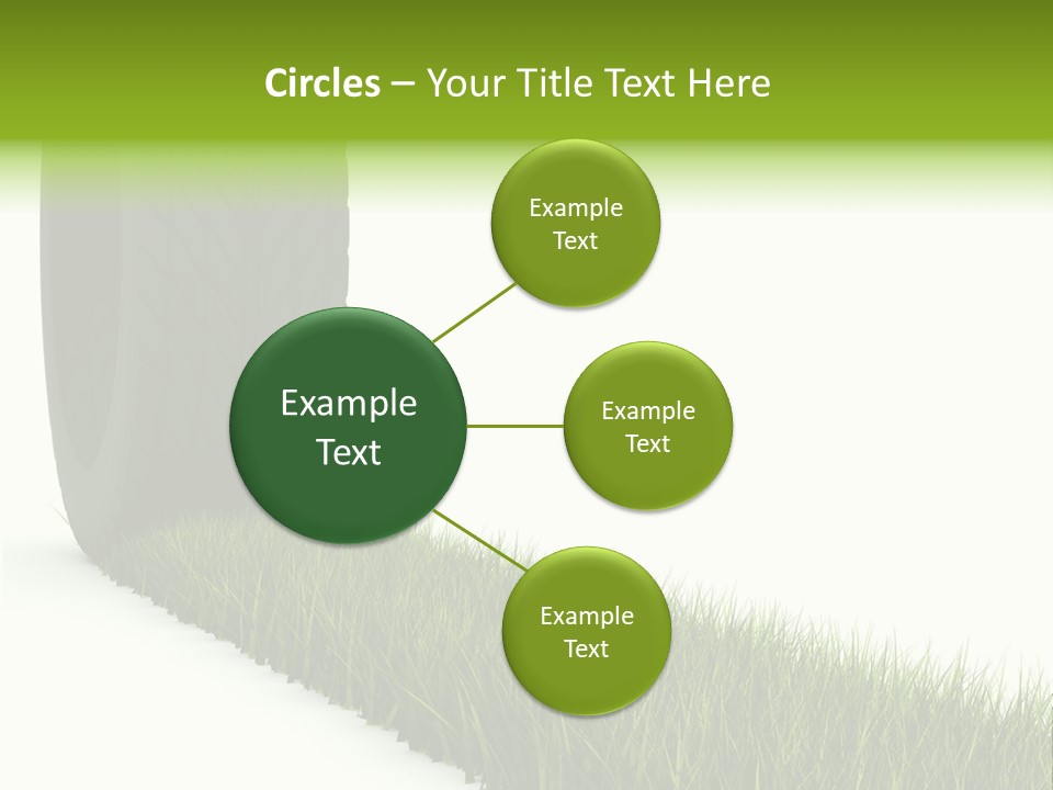 Automobile White Bio PowerPoint Template