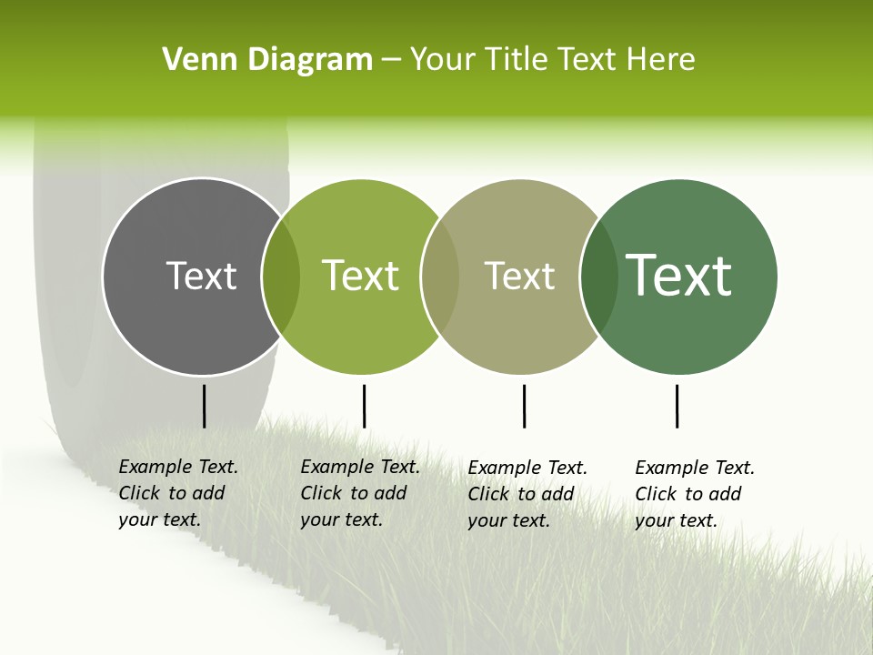 Automobile White Bio PowerPoint Template