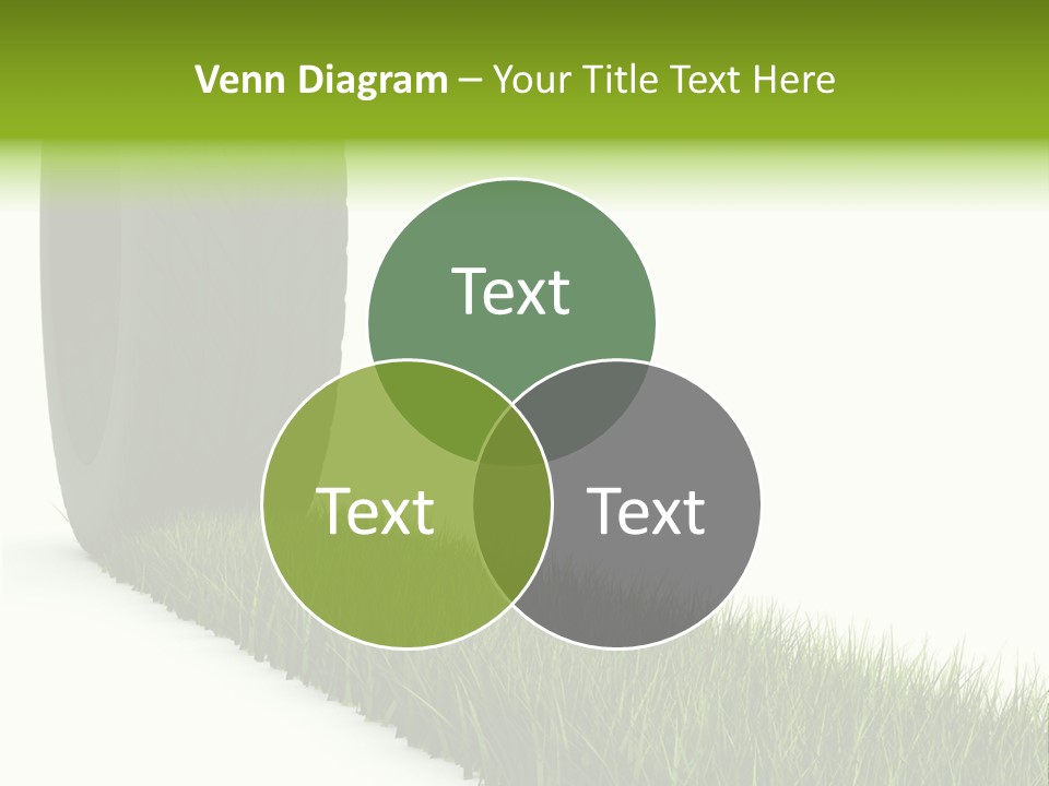 Automobile White Bio PowerPoint Template