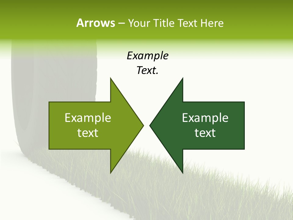 Automobile White Bio PowerPoint Template