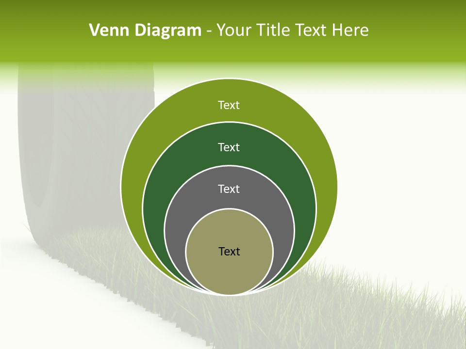 Automobile White Bio PowerPoint Template