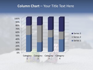 Snow Mountains Party PowerPoint Template