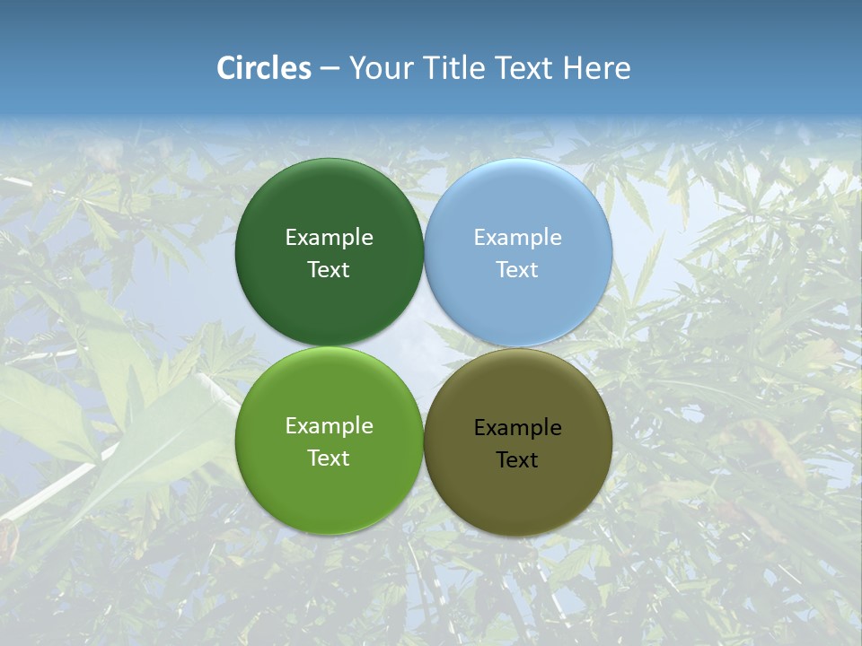 Smoker Culture Marijuana PowerPoint Template