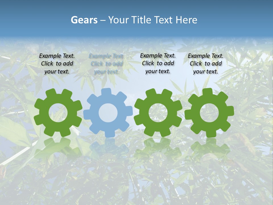 Smoker Culture Marijuana PowerPoint Template