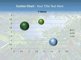 Smoker Culture Marijuana PowerPoint Template