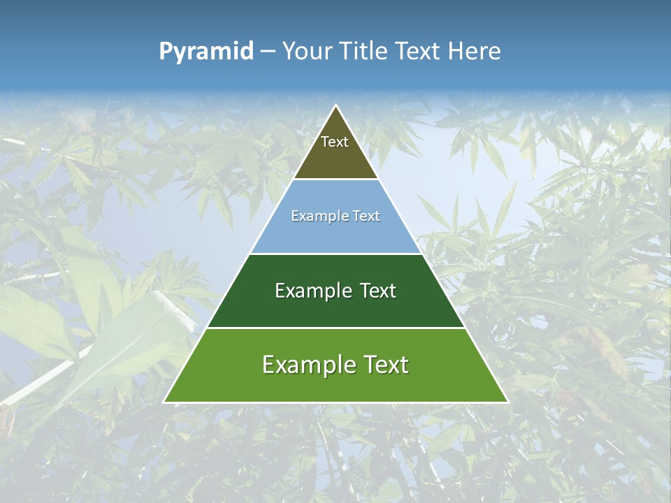 Smoker Culture Marijuana PowerPoint Template