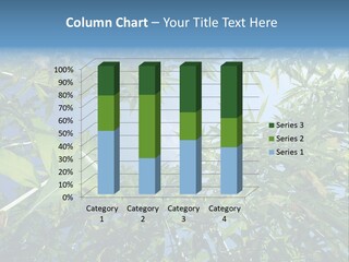 Smoker Culture Marijuana PowerPoint Template