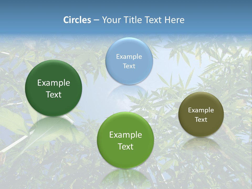 Smoker Culture Marijuana PowerPoint Template