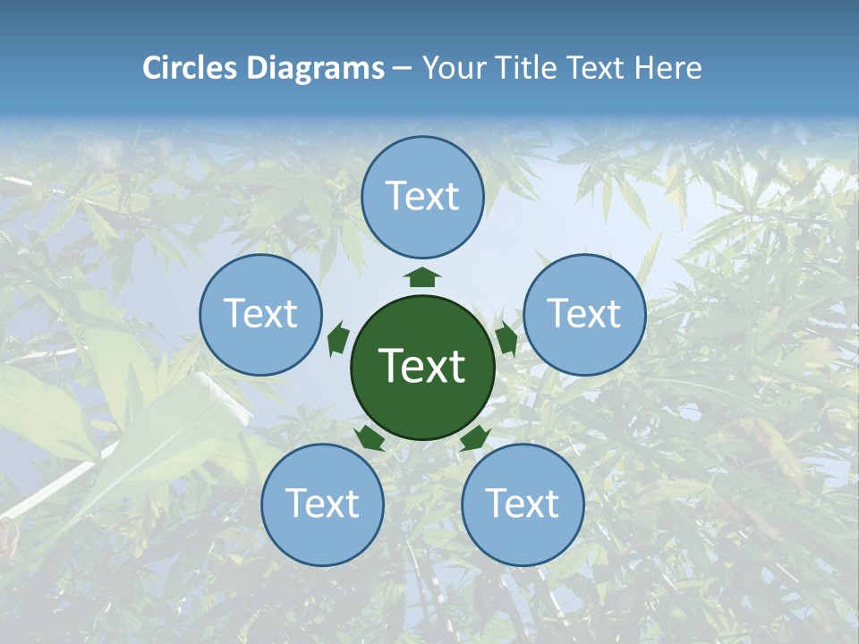 Smoker Culture Marijuana PowerPoint Template