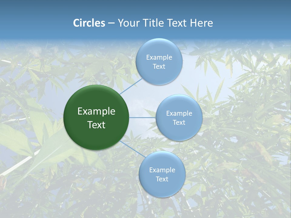 Smoker Culture Marijuana PowerPoint Template