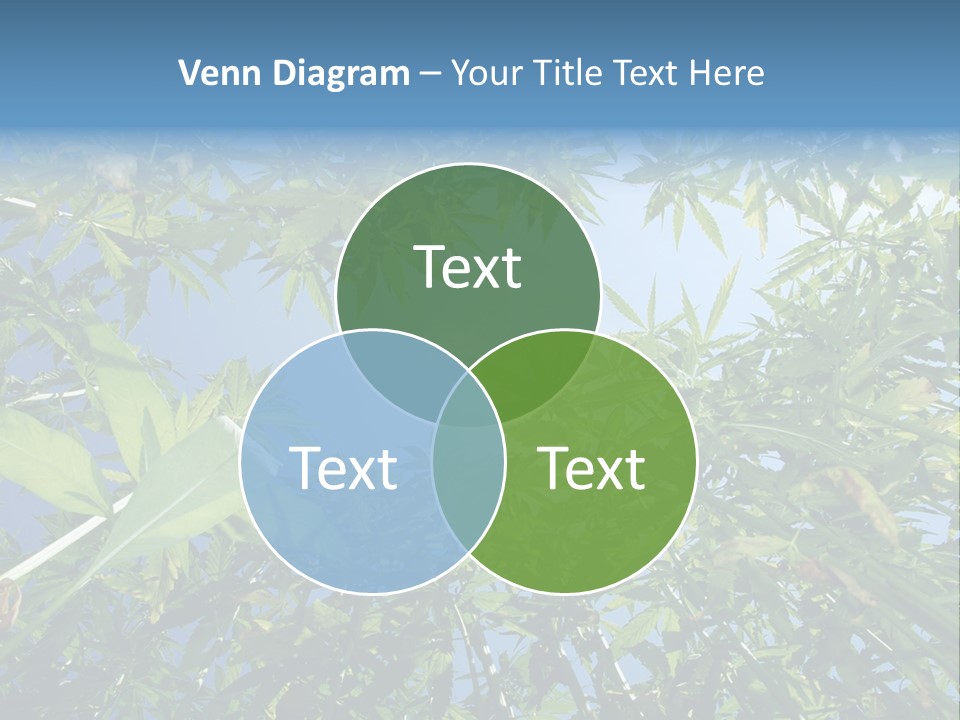 Smoker Culture Marijuana PowerPoint Template