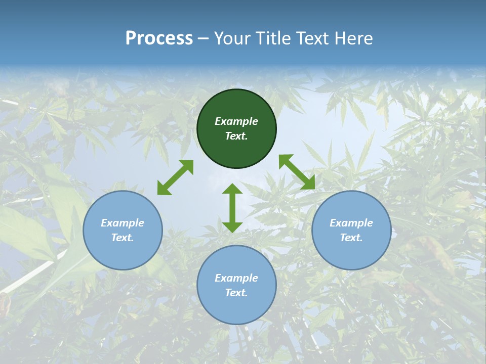Smoker Culture Marijuana PowerPoint Template