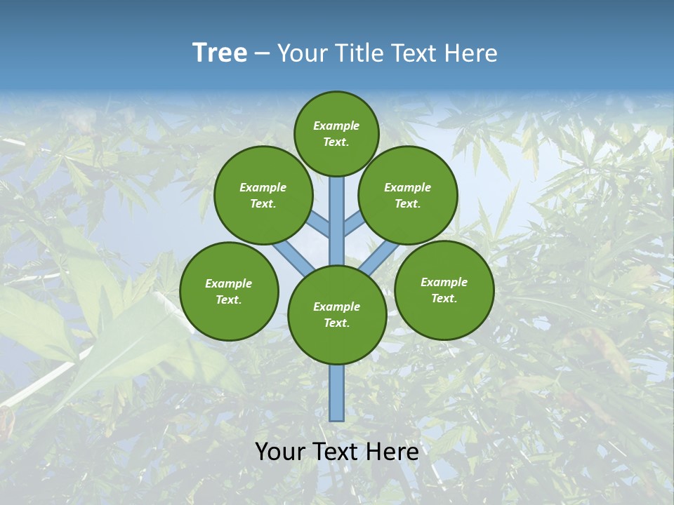 Smoker Culture Marijuana PowerPoint Template