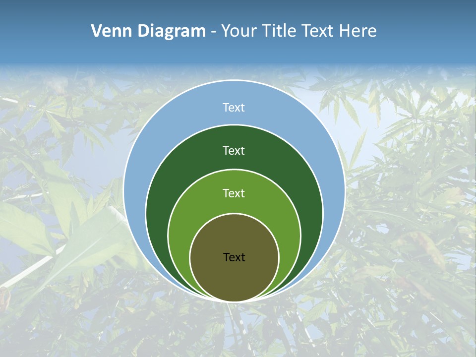 Smoker Culture Marijuana PowerPoint Template