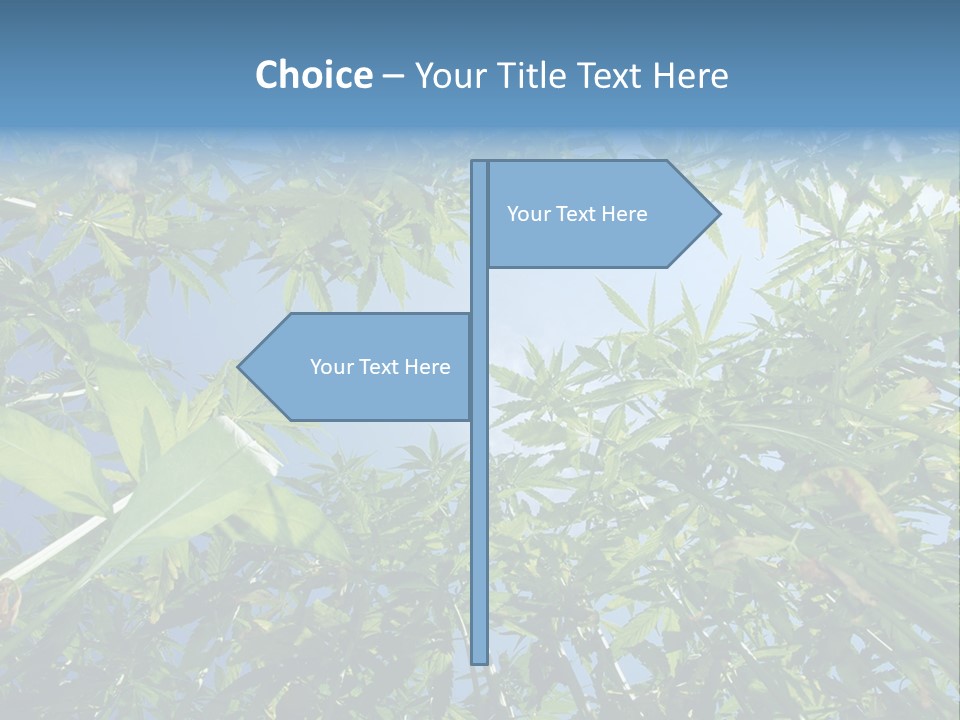 Smoker Culture Marijuana PowerPoint Template
